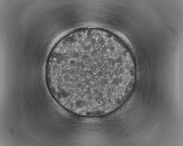 X0000113051183200910081225