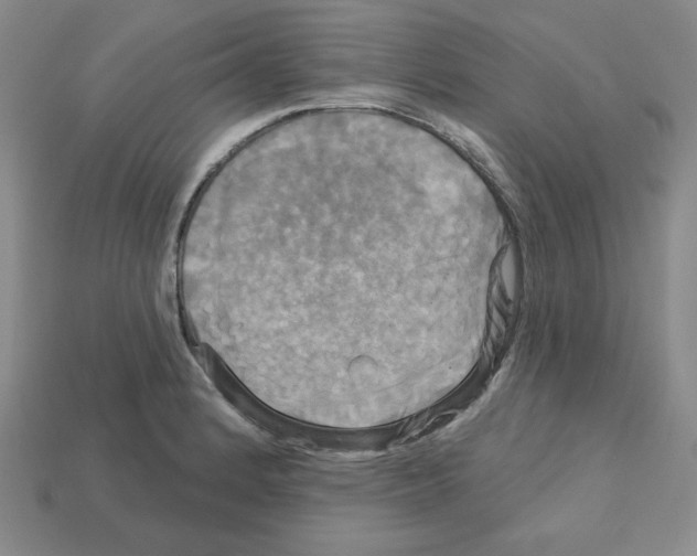 X0000113051184200910081225
