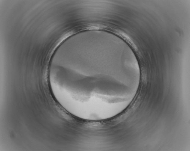 X0000113051186200910081225