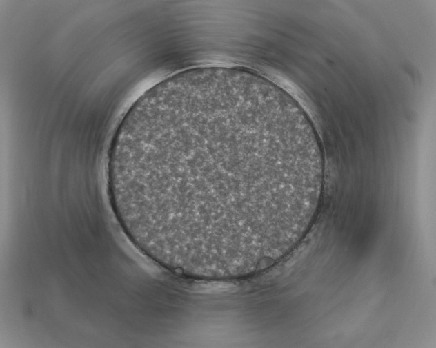 X0000113051187200910081225