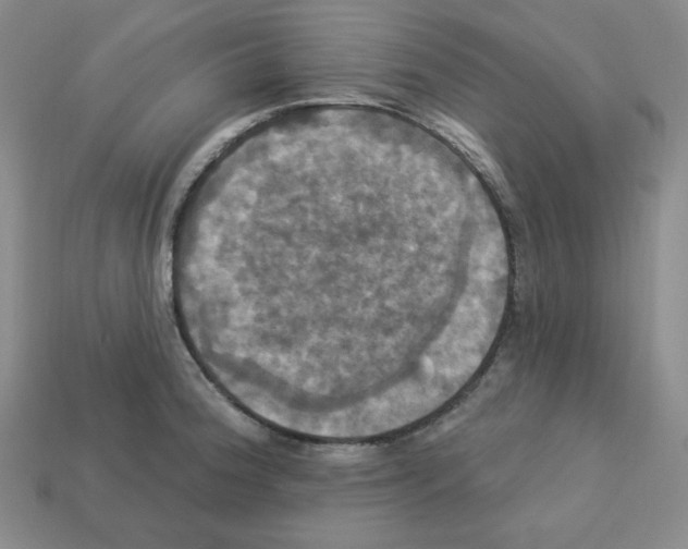 X0000113051188200910081225