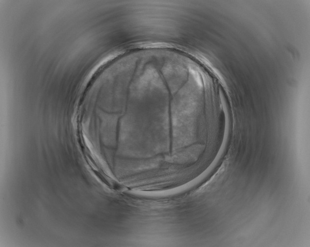 X0000113051189200910081225