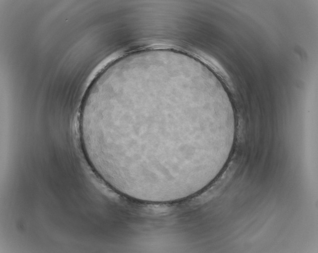 X0000113051190200910081225