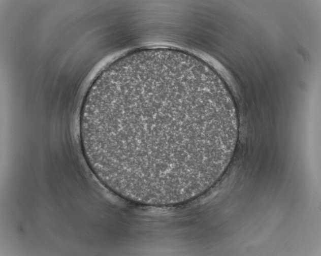 X0000113051191200910081225