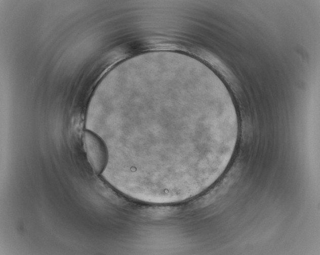 X0000113051193200910081225