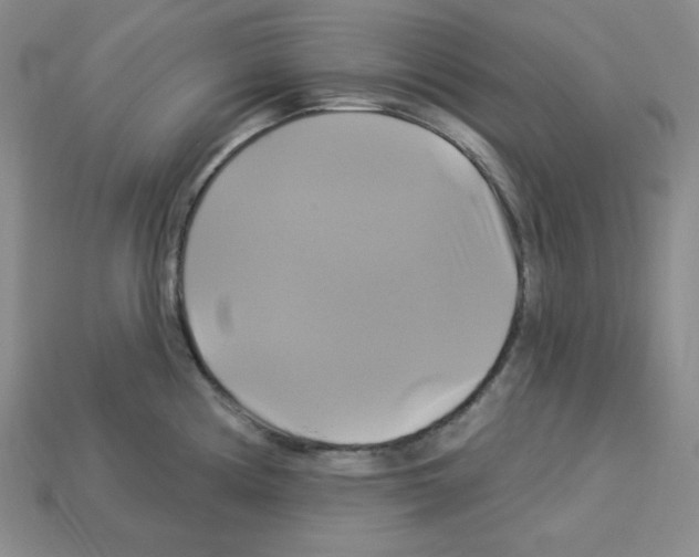 X0000113051194200910081225