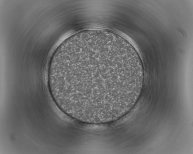 X0000113051195200910081225