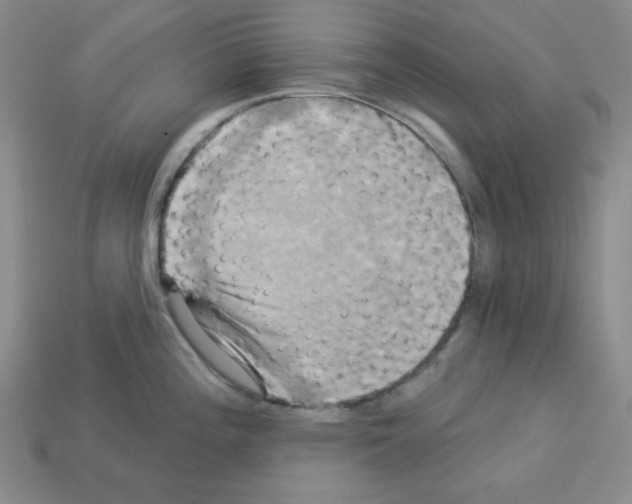 X0000113051196200910081225