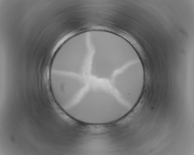 X0000113051198200910081225