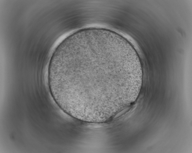 X0000113051199200910081225