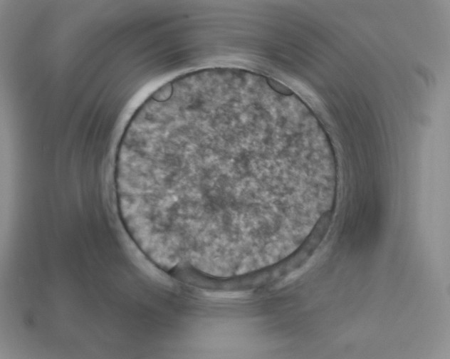 X0000113051200200910081225
