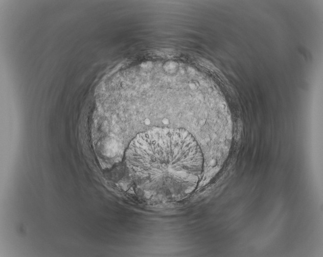 X0000113051201200910081224