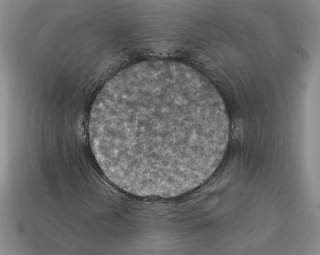 X0000113051202200910081224