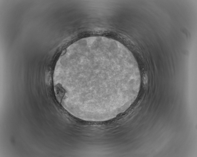 X0000113051204200910081224