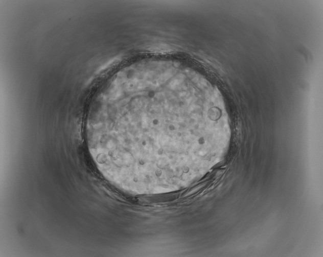 X0000113051205200910081224