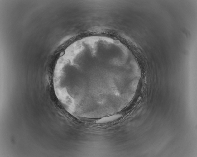 X0000113051206200910081224