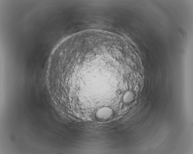 X0000113051208200910081224