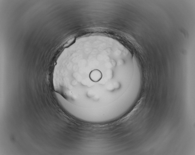 X0000113051209200910081224