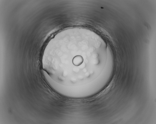 X0000113051210200910081224