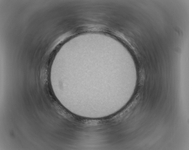 X0000113051211200910081224