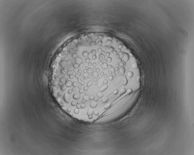 X0000113051212200910081224