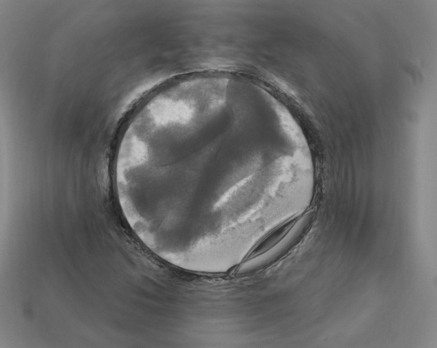 X0000113051214200910081224