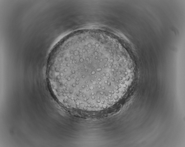 X0000113051216200910081224