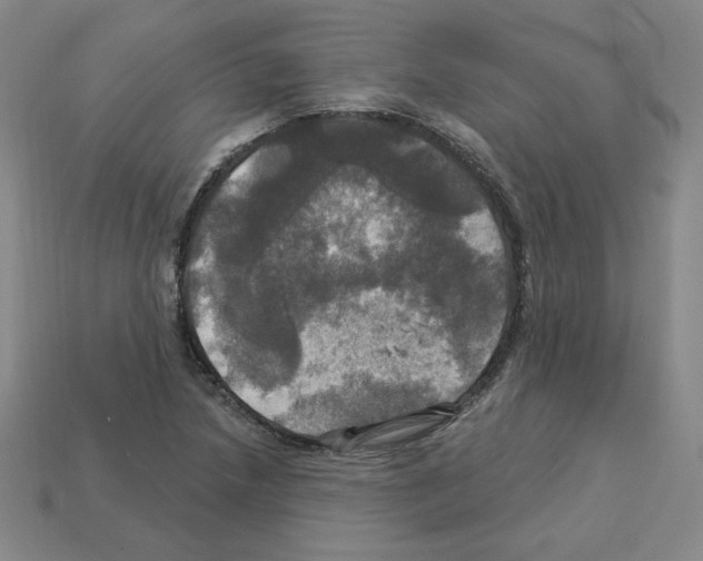 X0000113051218200910081224