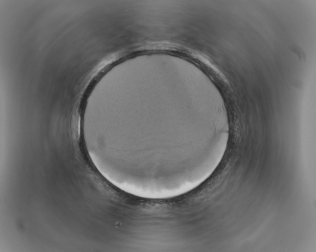 X0000113051221200910081224