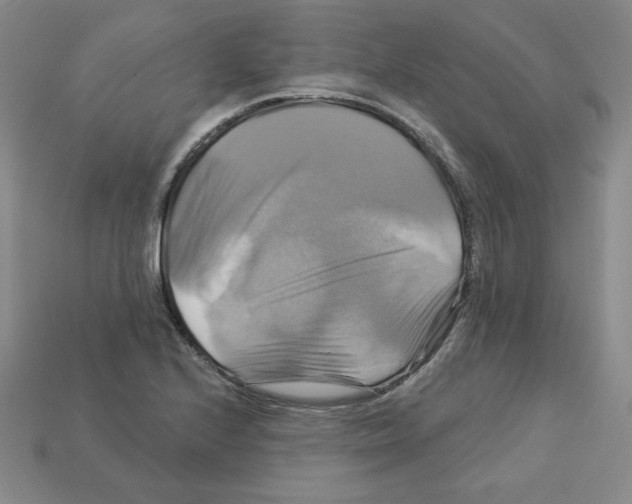 X0000113051224200910081224