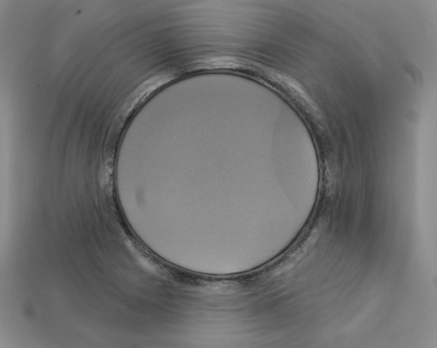 X0000113051225200910081224