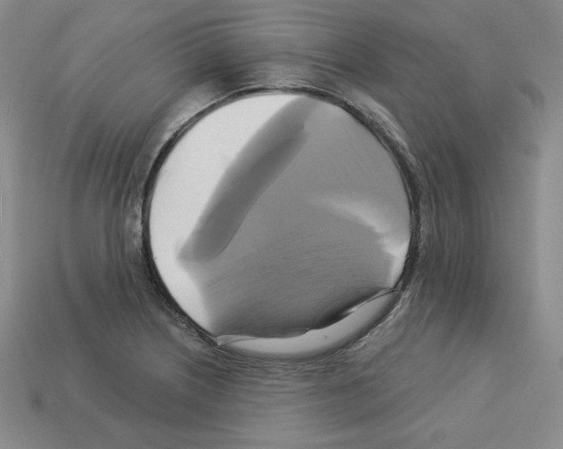 X0000113051226200910081224