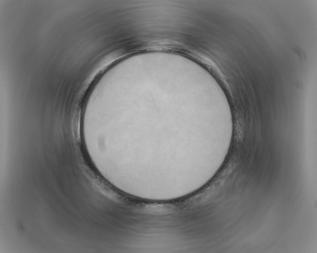 X0000113051227200910081224