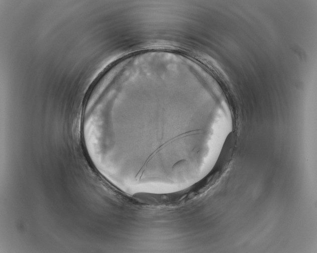 X0000113051228200910081224
