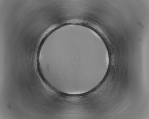X0000113051229200910081224