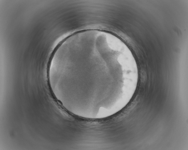 X0000113051230200910081224