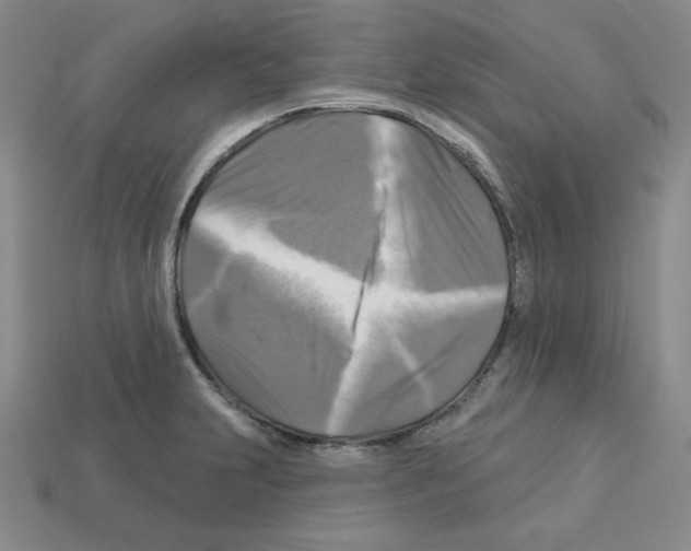 X0000113051231200910081224