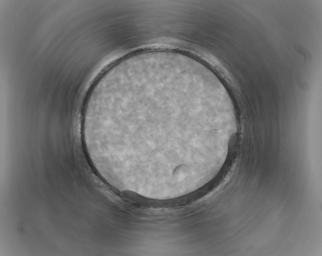X0000113051232200910081224