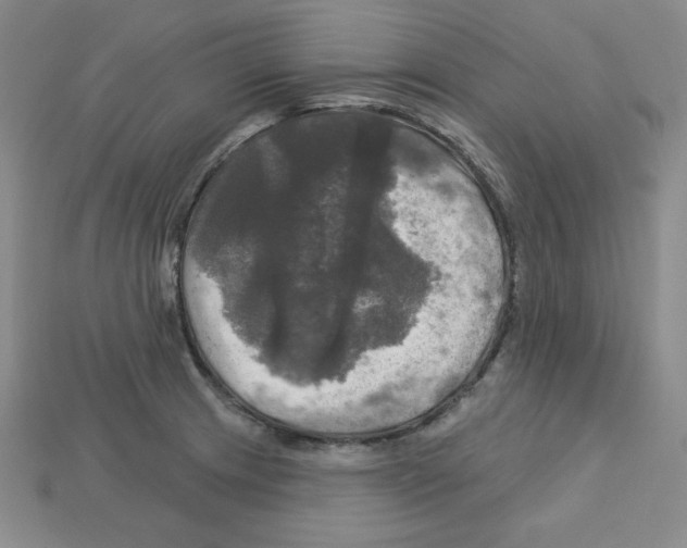 X0000113051233200910081224