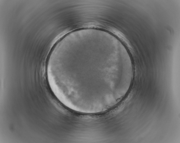 X0000113051234200910081224