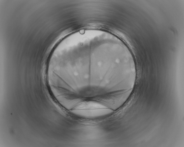 X0000113051235200910081224