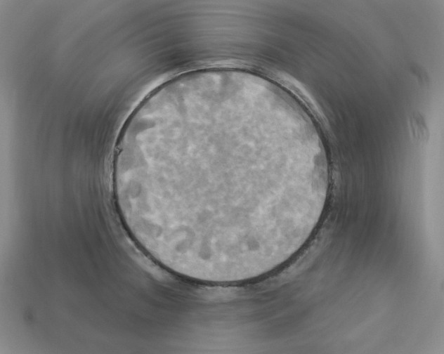 X0000113051236200910081225