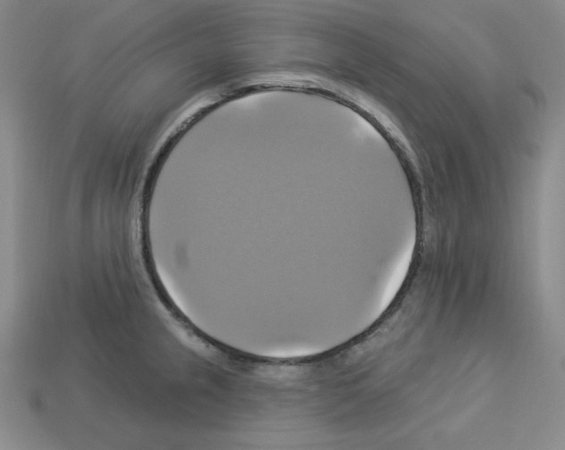 X0000113051237200910081225