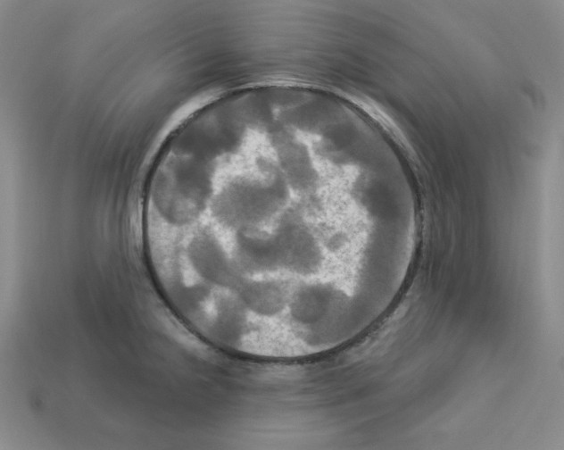 X0000113051238200910081225