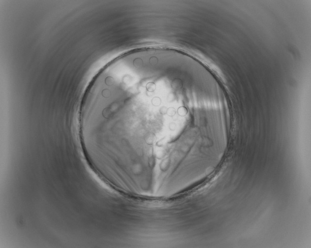 X0000113051239200910081225