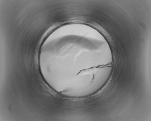 X0000113051240200910081225