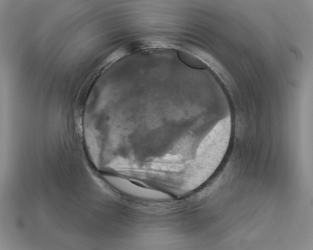 X0000113051241200910081225