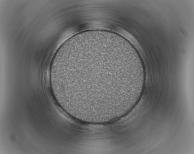 X0000113051242200910081225