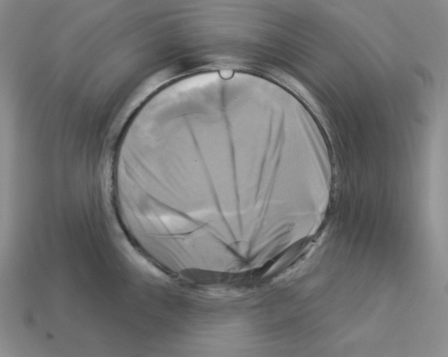 X0000113051243200910081225