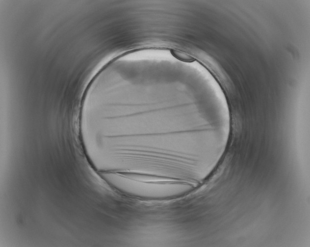 X0000113051244200910081225